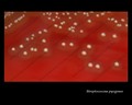 streptococcus pyogenes
